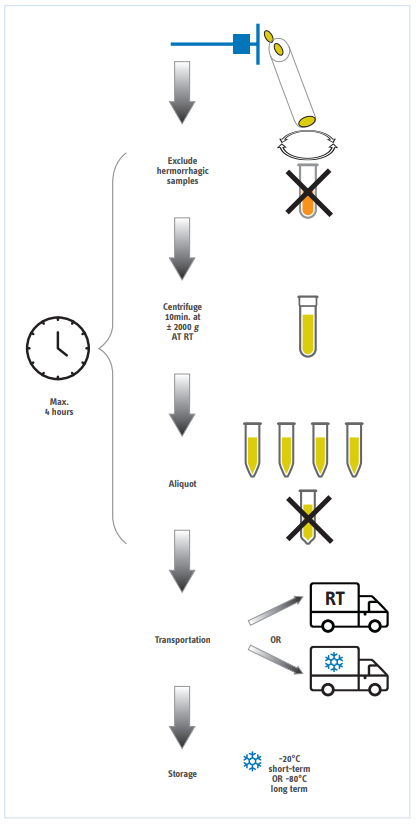 CSF sample handling and preparation