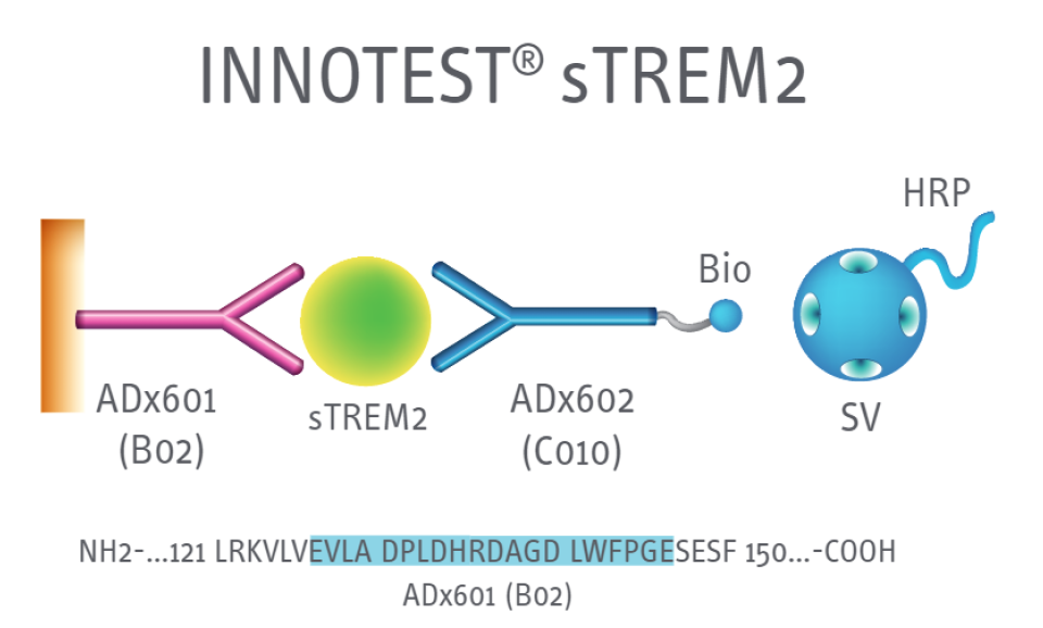 INNOTEST sTREM2 test principle