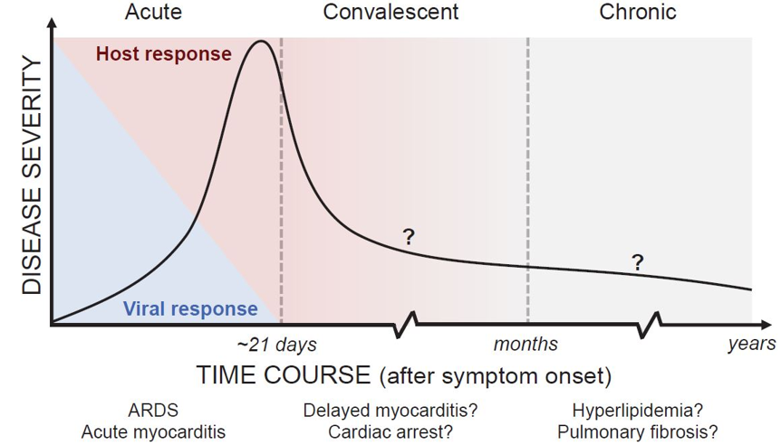 KL-6 biomarker application for COVID-19 pandemic - figure 2 - classification of COVID-19 Disease States and Potential Therapeutic Targets