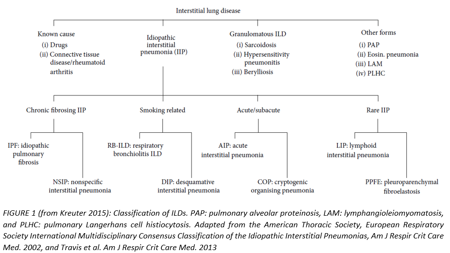 Classification of ILDs. PAP: pulmonary alveolar proteinosis, LAM: lymphangioleiomyomatosis, and PLHC: pulmonary Langerhans cell histiocytosis. 