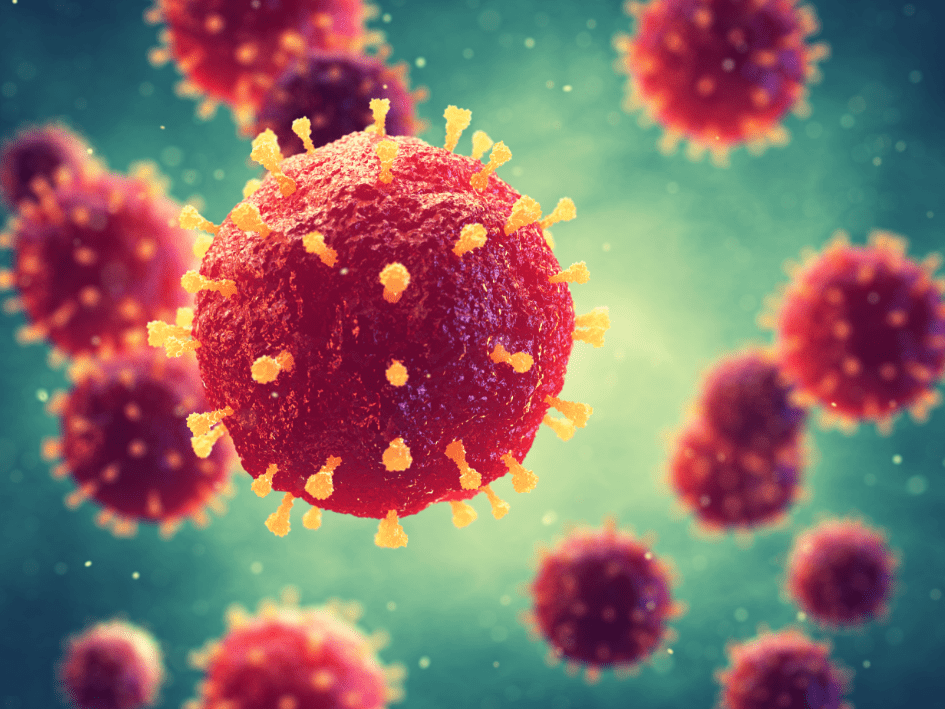 Infectious disease antigens, HIV, HTLV, HCV Fujirebio