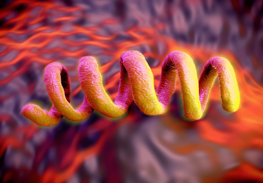 Infectious Disease Antigens Syphilis Fujirebio