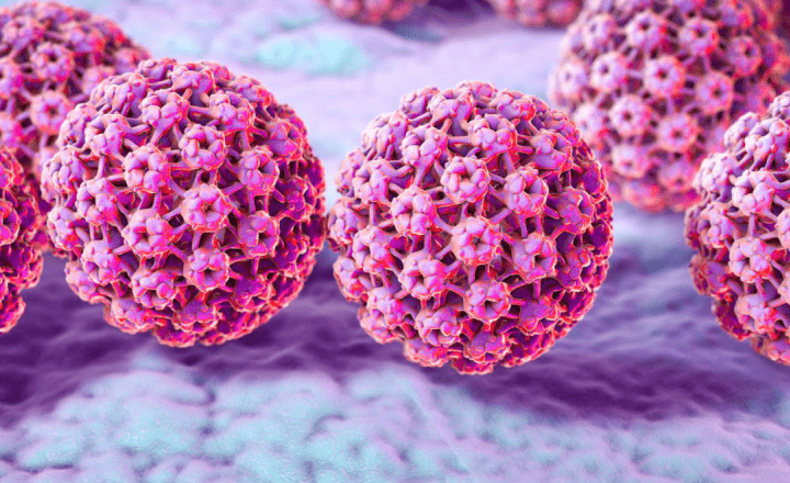 Papillomavirus genital symptomes Que es cancer germinal